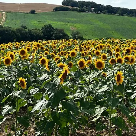 بيت للعطل Chapelle Blom Nougaroulet