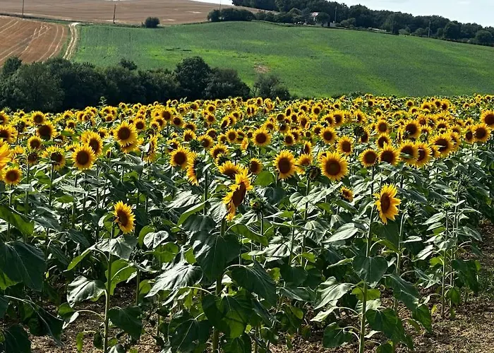 Feriehus Chapelle Blom Nougaroulet