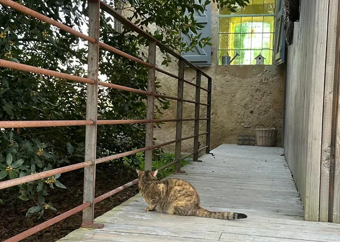 Chapelle Blom Feriehus Nougaroulet